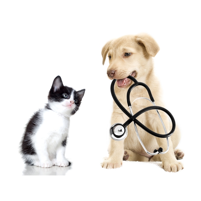 Veterinary Health