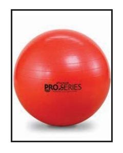 Physiogymnic Molded Vinyl Inflatable Ball