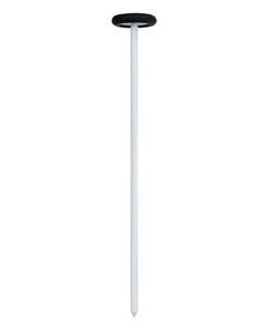 Riester Queens 13.77 in. Percussion Hammer w/ Plastic Handle