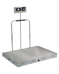 Detecto ID-4836SH-855RMP In-Floor Stainless Steel Dialysis Scale with Printer and Hand Rail