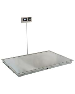 Detecto In-Floor Stainless Steel Dialysis Scale with Printer ID-4836S-855RMP