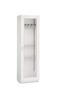 Innerspace Evolve Scope Cabinet with Hinged Glass Door, AireCore and Brushed Aluminum