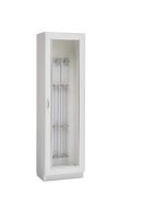 Innerspace Evolve TEE Probe Cabinet with Hinged Glass Door, Compression Board